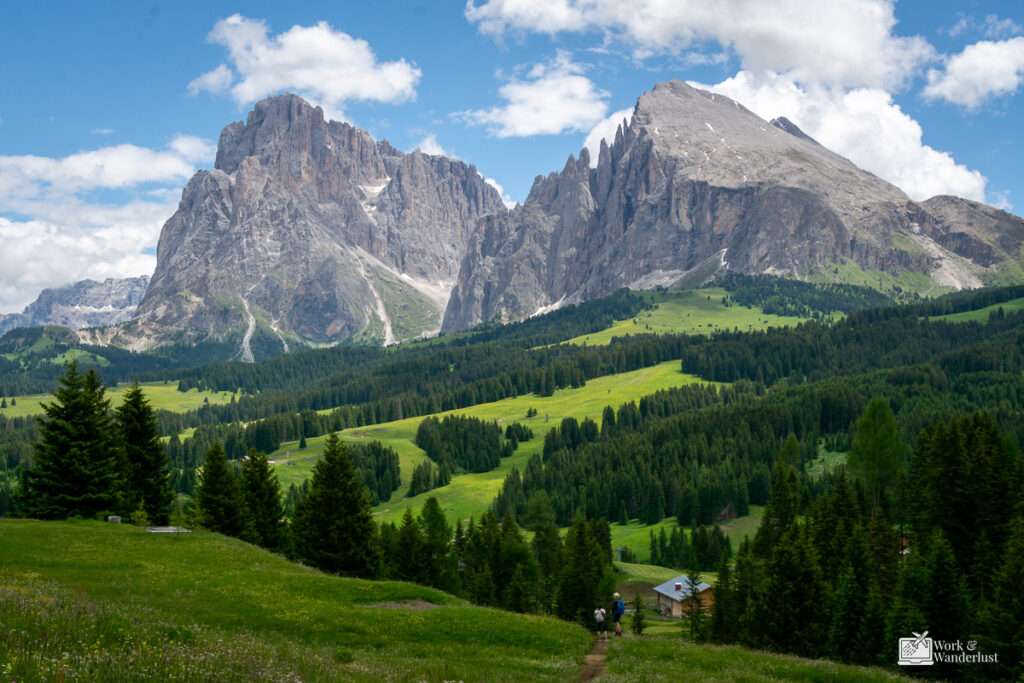 italy-digital-nomad-visa-dolomite-mountains A forested alpine meadow underneath mountains