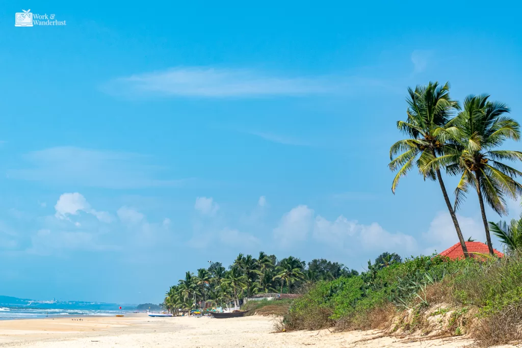 off-the-beaten-path-destinations-benaulim-india a beach with palm trees and a sandy beach